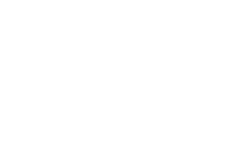 AirEuropa logo white