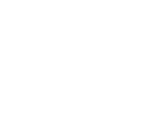 logo DISTINTUS white WH 250x150 1 1
