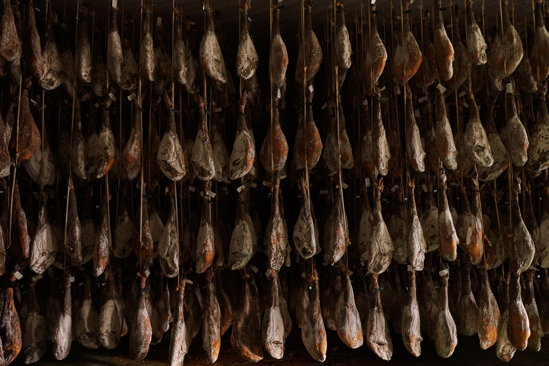Rows of Montaraz Iberian hams curing slowly in natural cellars